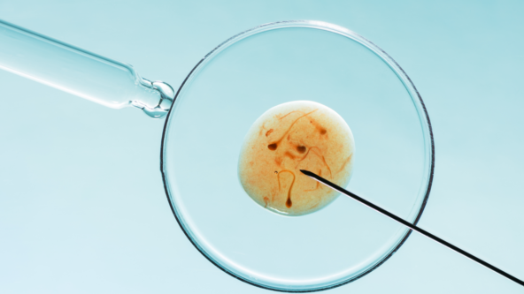 Close up of a magnified cell